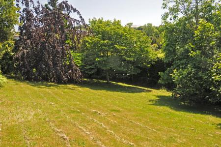 Media image 12