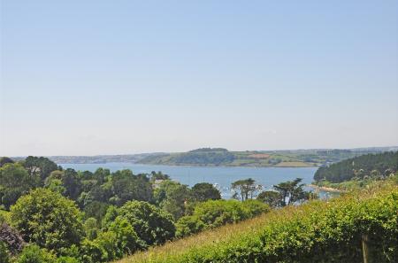 Media image 19