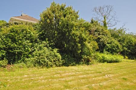 Media image 13