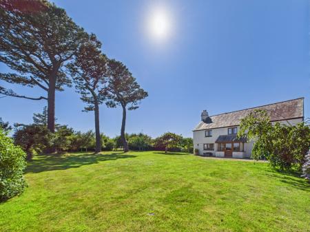 Media image 31