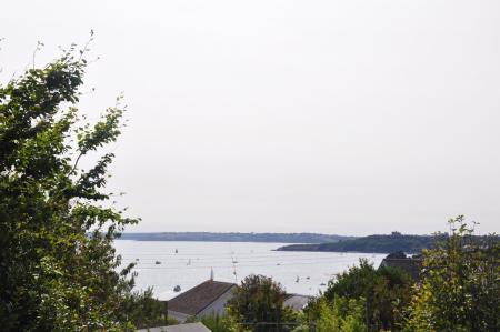 Media image 02
