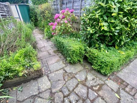 image14