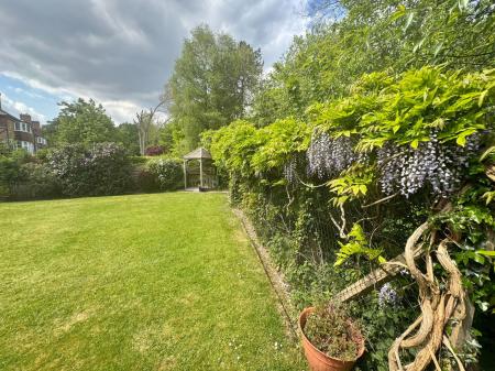 image29