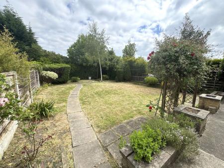 image12
