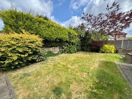 image20