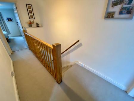image5