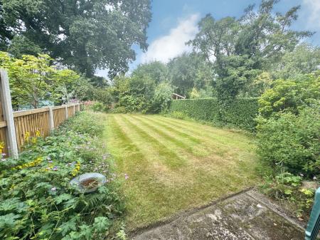 image13