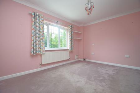 image12