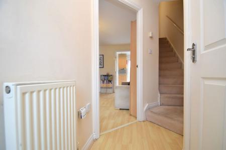 image11