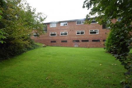 image11