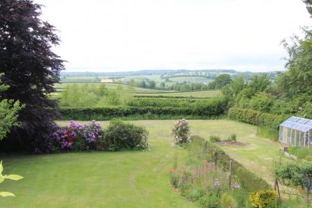 View over garden