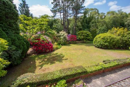 View over the garden