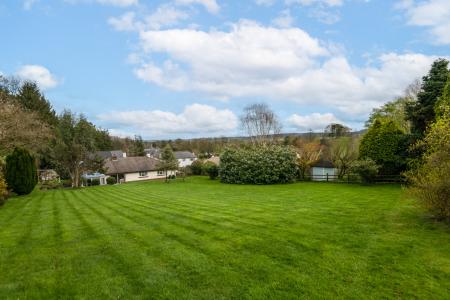 Garden & View