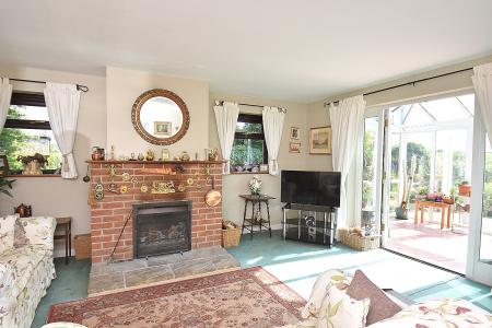 Lily Lane Templecombe