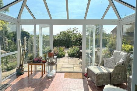 Lily Lane Templecombe