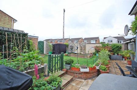 garden1.jpg