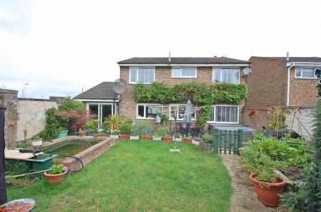 rear garden.jpg