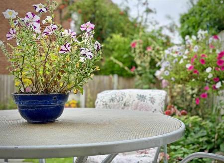 Rear Garden 3.jpg