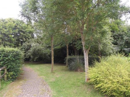 garden.jpg