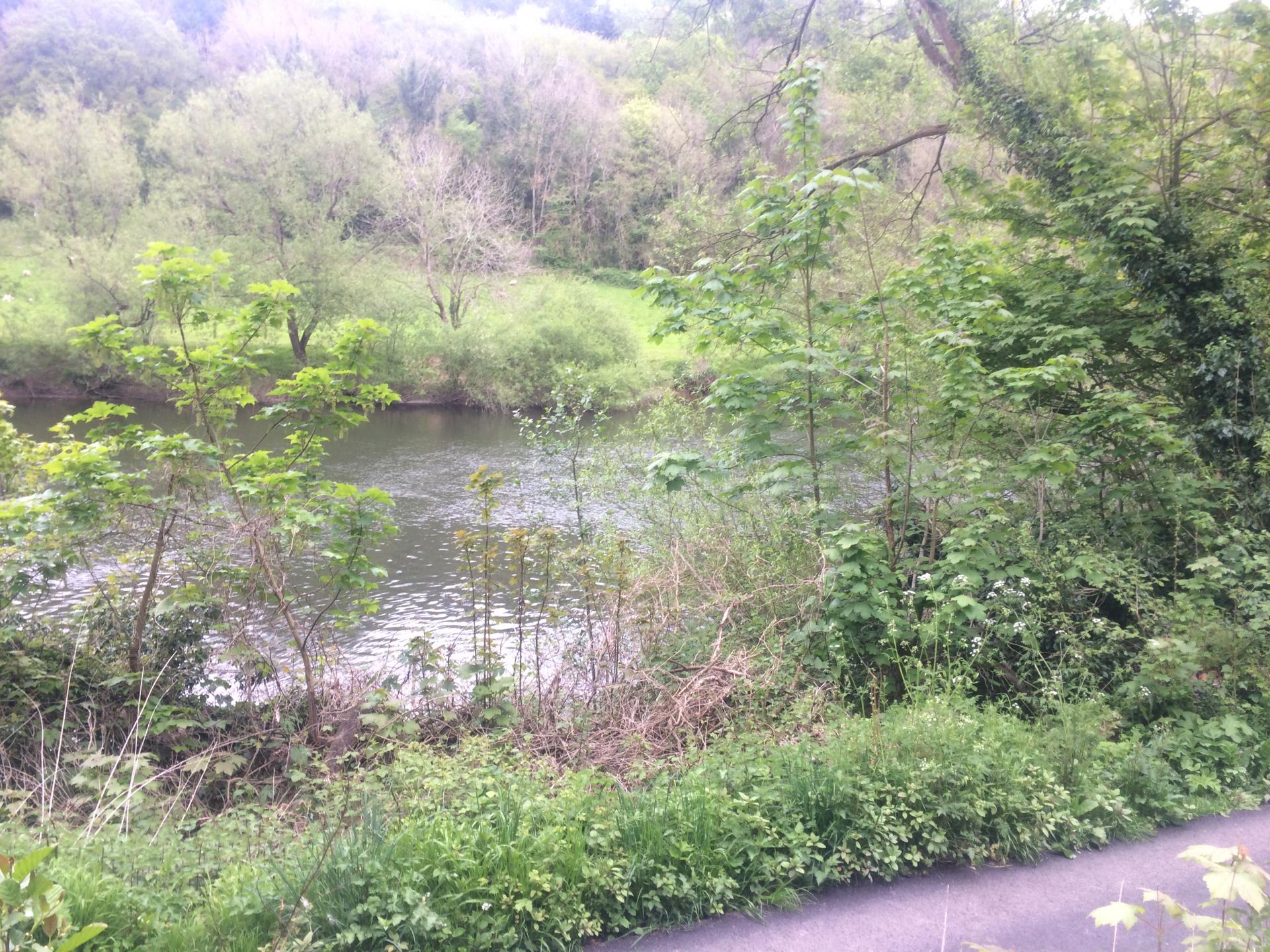 Land for sale in RossonWye