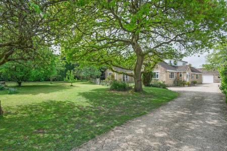 Front & Driveway