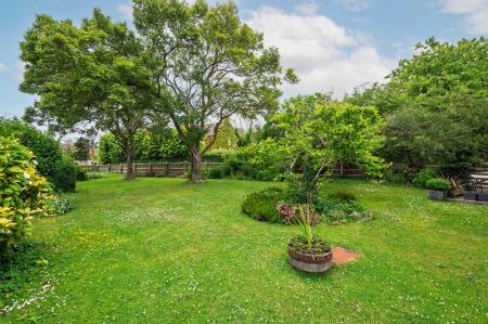 Communal Garden