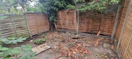 Garden 3.jpg