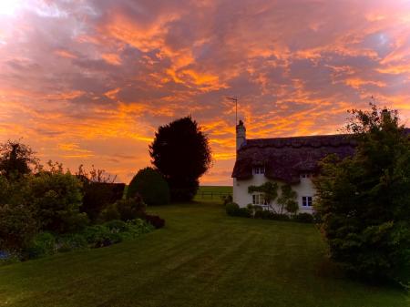 Pegs Sunset