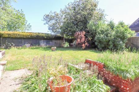 image11