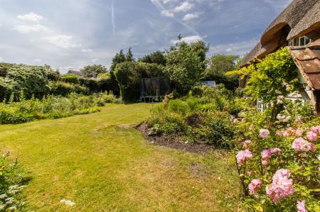image12
