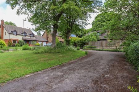 image20