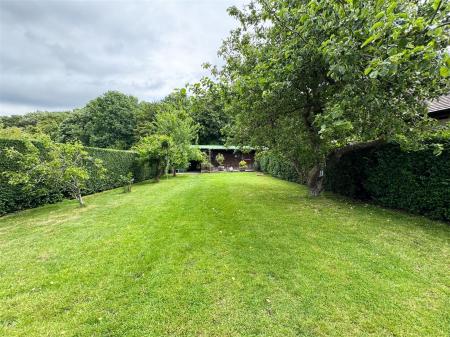back garden.jpg