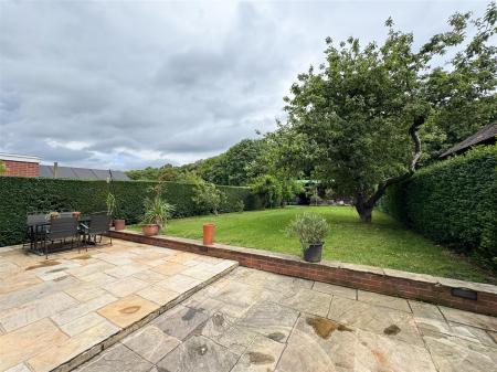 back garden...jpg