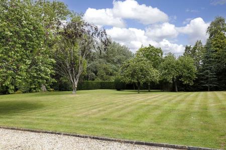Grounds