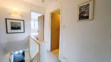 IMG_20250317_142431-2