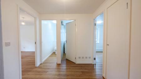 IMG_20250314_141038-2