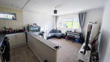 IMG_20250315_152814-2