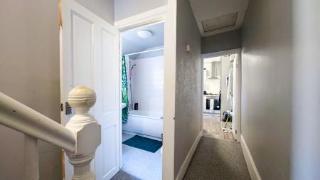 IMG_20250319_131328-2