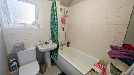 IMG_20250319_131023-2