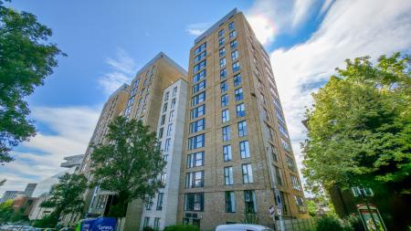 20250709_110152 - Copy