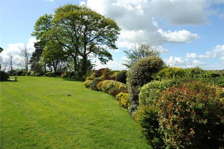 Communal Garden