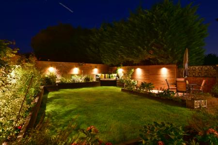 Garden at night