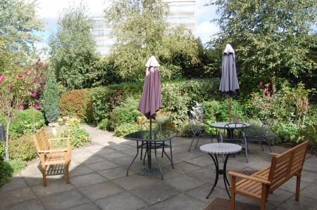 garden.jpg