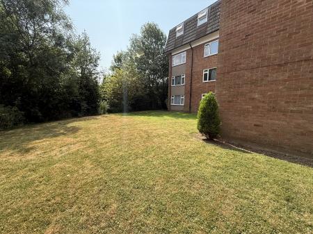 LAWNS
