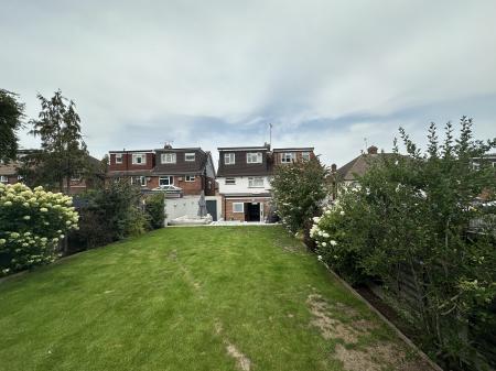 Rear aspect