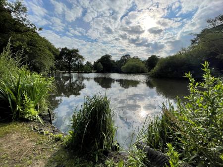 TOP LAKE