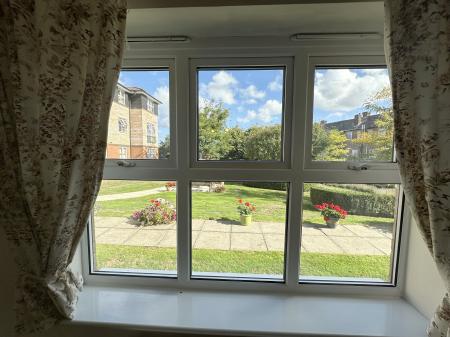 View of the garden