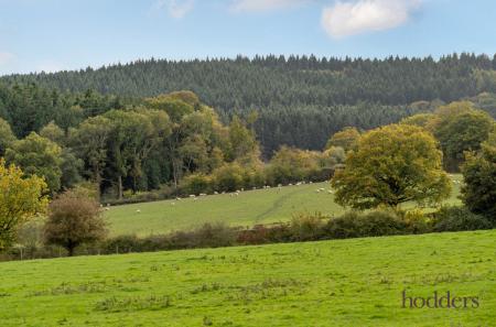 75d44fed-38eb-443...