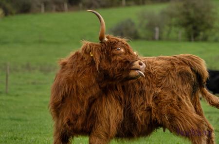 9d3a10b9-258c-40f...