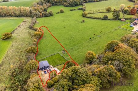 90d42d77-2cc3-4c2...